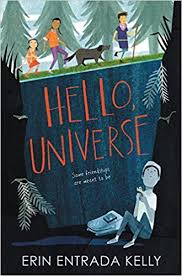 cover image of Hello, Universe!