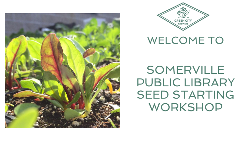 Seed Starting Workshop Slides